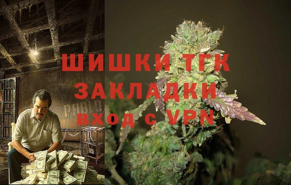 гидра Алексеевка