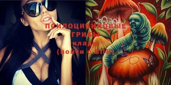 а пвп мука Алзамай