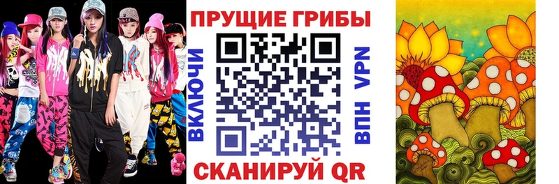 Псилоцибиновые грибы MAGIC MUSHROOMS  цена   нарко площадка Telegram  Малоархангельск 